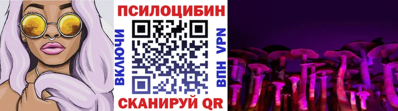 купить даркнет состав Псилоцибиновые грибы мицелий Краснообск