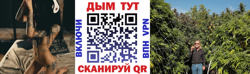 Шишки марихуана THC 21%  где можно купить наркотик  Краснообск 